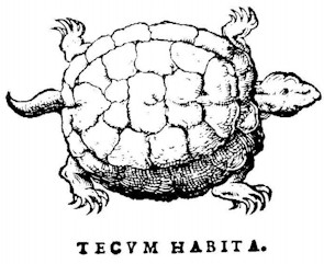Tortue de Calvin "Tecum Habita"